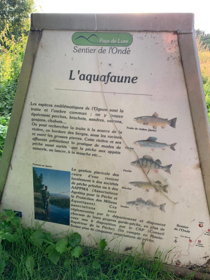 Les Jardins D'Elise, Calme Et Verdure A Lure Lure  Bagian luar foto