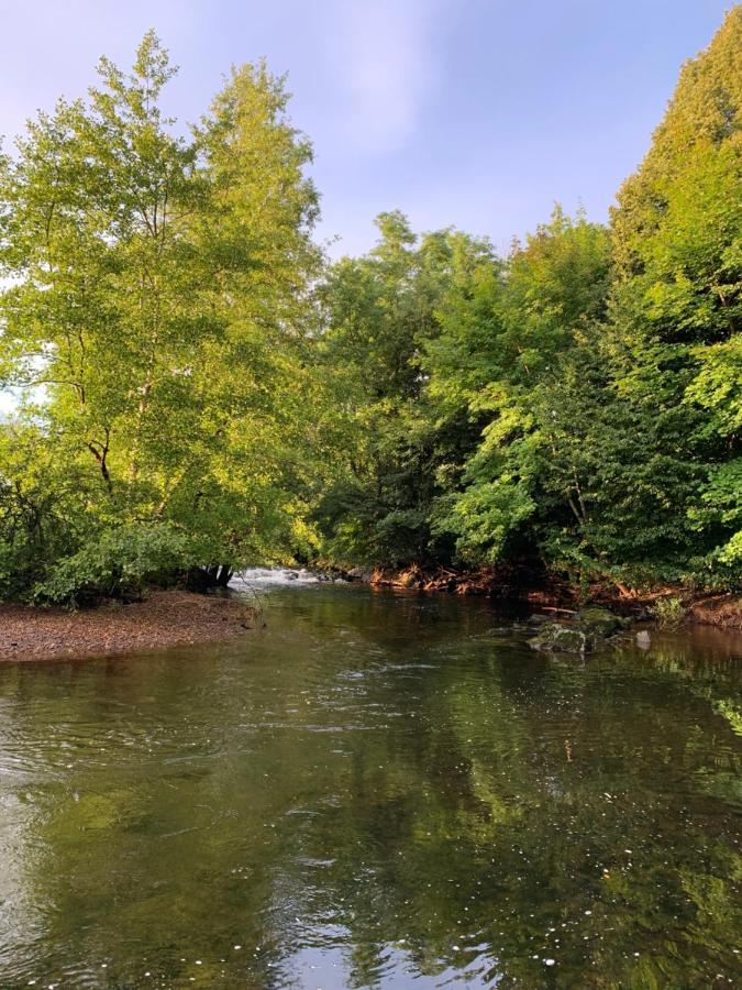 Les Jardins D'Elise, Calme Et Verdure A Lure Lure  Bagian luar foto
